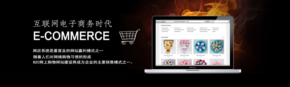 互联网电子商务时代