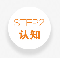 整站优化整合网络营销